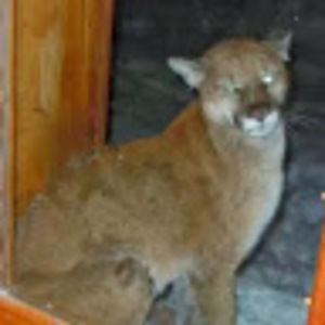 Meet your Posher, Tom